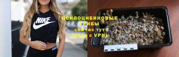 дживик Абаза