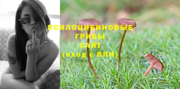 твердый Абинск