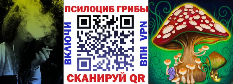 Галлюциногенные грибы мицелий  купить наркотик  Приволжский 
